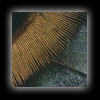 oscellated turkey feather