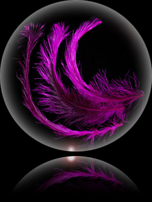 Super Spey Rhea Feathers